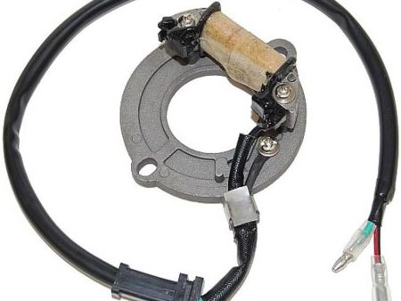 Electro Sport Stator HONDA CR80 (864011) For Sale