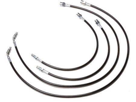 Chase Bays 82-91 BMW 3-Series E30 Caliper Brake Lines - Rear Lines Hot on Sale